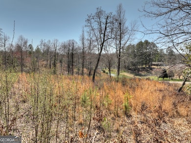 2 Arbor Creek Trail, Mineral Bluff, GA 30559 - photo 4