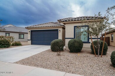 43829W.Juniper-3