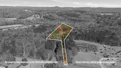 2201 Old Mountain Rd, Hiddenite, NC 28636 - photo 3