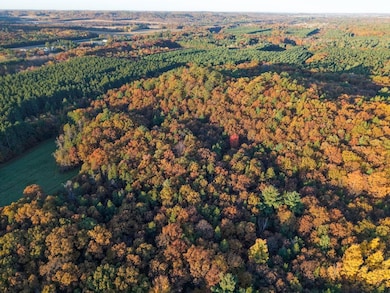 001 Old Highway 10, Fairchild, WI 54741 - photo 6