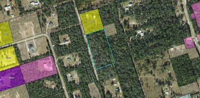 XX Kcl Rd, Crawfordville, FL 32327 - photo 2