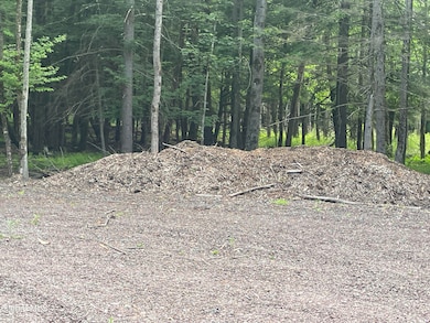 TBD Boulder Brook Rd unit Lot 8, Windham, NY 12496 - photo 7