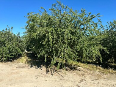 0 Nec Chestnut & Mountain View Ave unit 613340, Selma, CA 93662 - photo 6