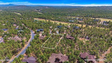 1760 S Monkshood Rd, Show Low, AZ 85901 - photo 6