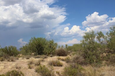 Desert Lifestyle