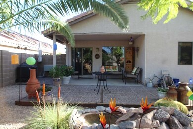 backyard 1