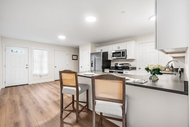 Kitchen Peninsula