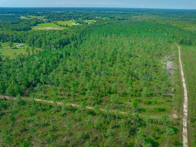 Hunting Swamp Rd, Conway, SC 29526 - photo 7