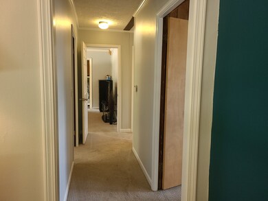 704 E Elm St, Wheaton, IL 60189 - photo 4