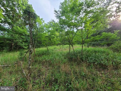 LOT 7 SEC 5 High Knob Rd, Old Fields, WV 26845 - photo 2