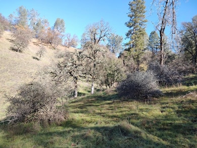 12288 Kenneth Ct, Alta Sierra, CA 95949 - photo 5