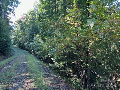0 Red Wolf Run unit CAR4186741, Mars Hill, NC 28754 - photo 2