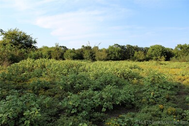 0 Highway 70 E, Bennington, OK 74723 - photo 6