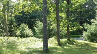 101 Quiet Ct, Dingmans Ferry, PA 18328 - photo 5