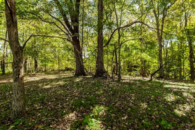 0 W Harper Rd unit RTC3031920, Portland, TN 37148 - photo 3