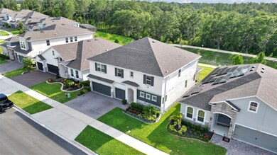 4477 Renly Ln, Clermont, FL 34714 - photo 5