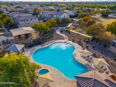 Community Pool/Park