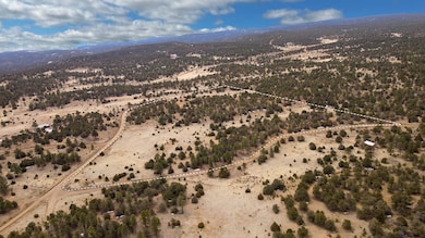 Dove Valley Rd, Pie Town, NM 87827 - photo 6