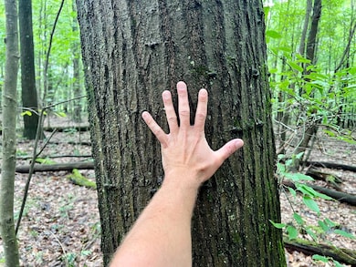 0 Benjamin Franklin Hwy, Ebensburg, PA 15931 - photo 6