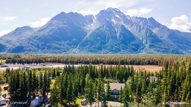 Pioneer Peak View
