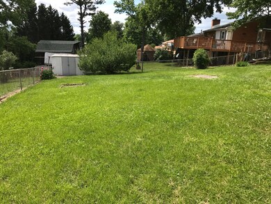 Back Yard (2)
