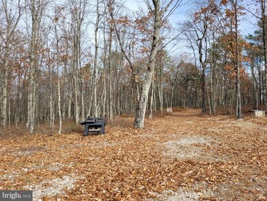 HINKLE MOUNTAIN RD/ Deep Spring Rd, Dorcas, WV 26847 - photo 7