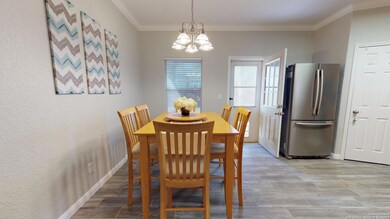 11239 Clusius, Helotes, TX 78023 - photo 6