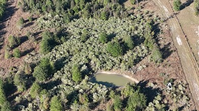 3711 Felix Currie Rd, Oakhurst, TX 77359 - photo 5