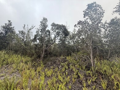 92-9170 Tree Fern Ln, Ocean View, HI 96737 - photo 4