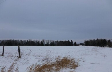 Property View - Winter