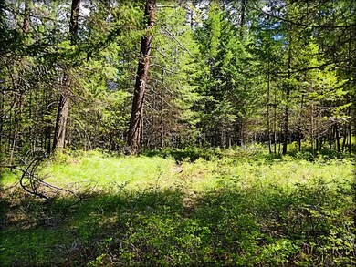 bldg sites