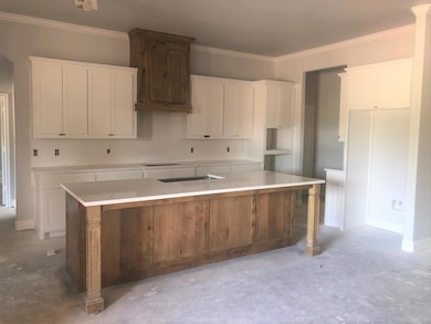 1009 Thompson Rd, Weatherford, TX 76087 - photo 4