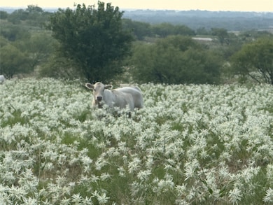 381 Private Road 4512, Decatur, TX 76234 - photo 2