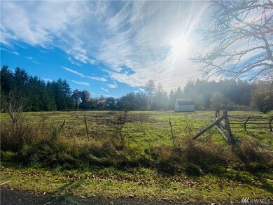 150 Howe Rd, Toledo, WA 98591 - photo 4