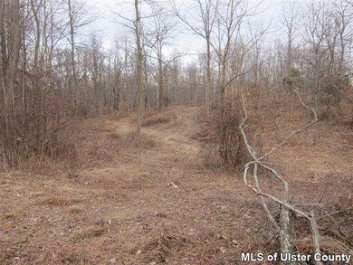 TBD Langridge Rd, Clermont, NY 12583 - photo 7