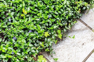 1 Ramshorn Rd, Dudley, MA 01571 - photo 4