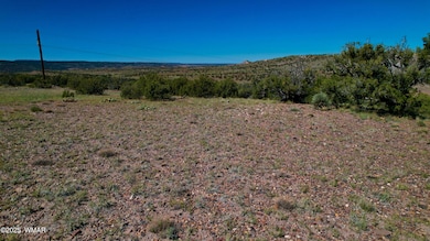 0 Co Rd 5062 Lot 1 3 53 Acres, Concho, AZ 85924 - photo 5