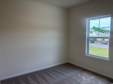 Spare room featuring plenty of natural light, baseboards, and dark carpet