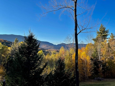 136 Old Quarry Rd, Fayston, VT 05673 - photo 3