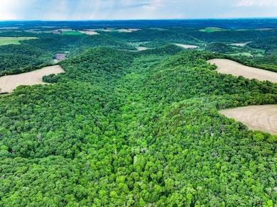 Rooster Valley Rd, Spring Grove, MN 55974 - photo 4