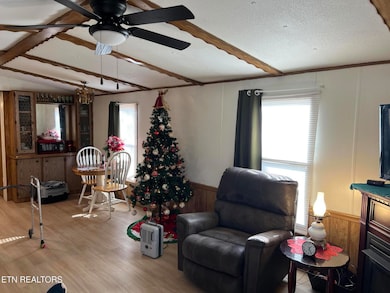 106 Meadowview Ln, Decatur, TN 37322 - photo 4