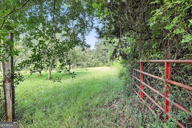 1592 Black Mountain Rd, Toccoa, GA 30577 - photo 2