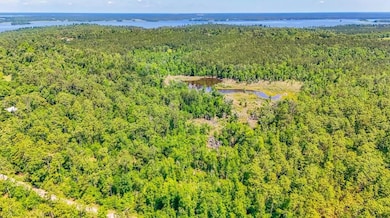 Dell Rd, Bainbridge, GA 39819 - photo 6