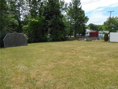 Backyard.
