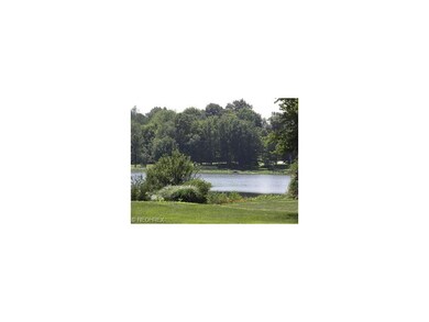 Close up of the lake view.