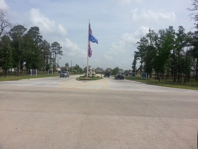 16372 Snowy Egret Ln, Conroe, TX 77385 - photo 6