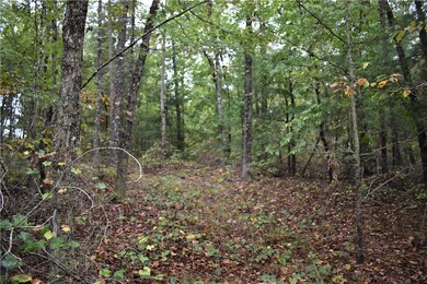 00 Coyote Ridge, Walhalla, SC 29691 - photo 5