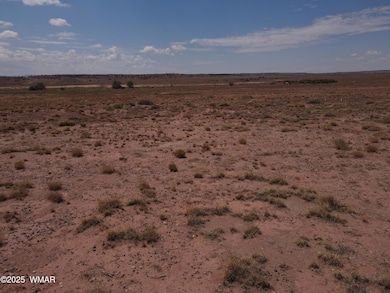 dji_fly_20250717_111508_832_175277616846