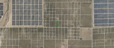 46907229