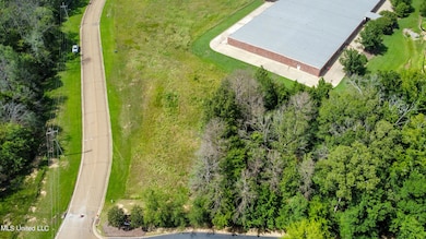 dji_fly_20240801_152412_668_172254385956